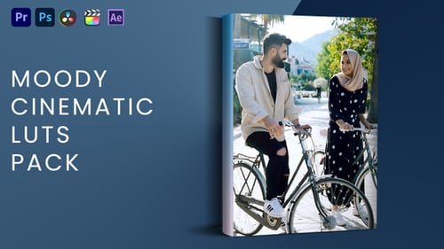 Moody Cinematic Luts Pack