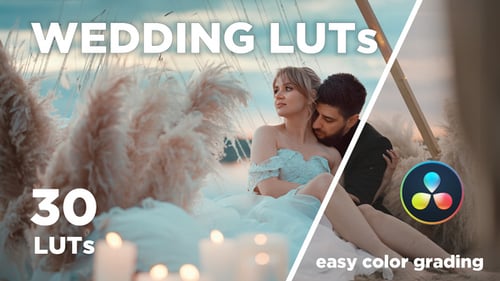 30 WEDDING LUTs