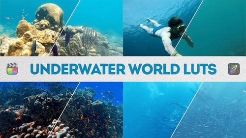 Underwater World LUTs | FCPX & Apple Motion