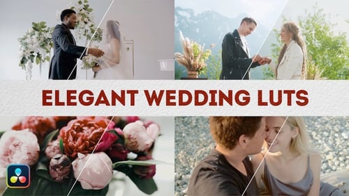 Elegant Wedding LUTs | DaVinci Resolve