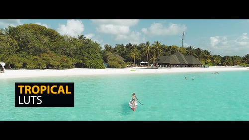 Tropical Color LUTs