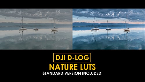 D-Log Nature Color LUTs