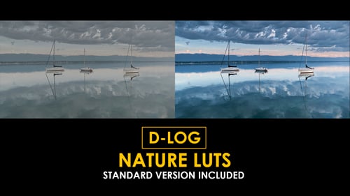 D-Log Nature LUTs