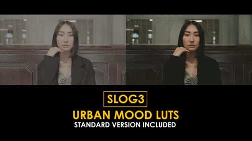 Slog3 Urban Mood and Standard LUTs