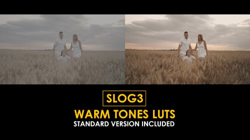Slog3 Warm Tones and Standard LUTs