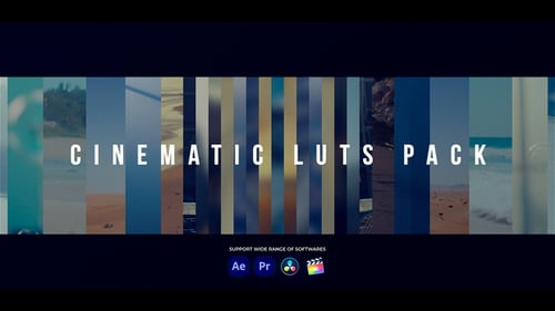 Cinematic LUTs | Final Cut Pro X