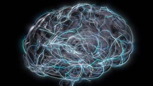 Rotating 3D Human Brain with Moving Neuron Signals