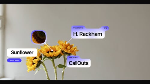 CallOuts for Premiere Pro