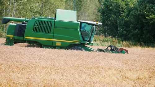Combine Harvester Working on Golden Wheat Field