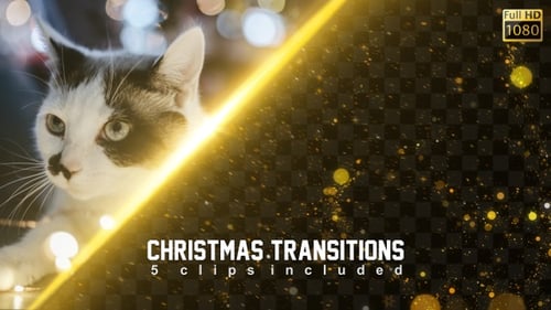 Christmas Transitions