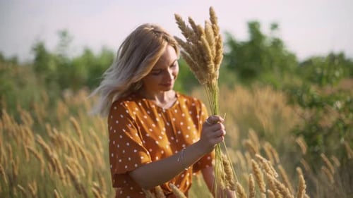 Beautiful Young Woman Walks in the Field Collects a Bouquet of Flowers and Spikelets