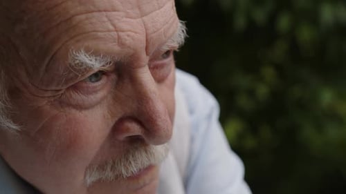 Portrait of an Old Man Sitting in the Park on Bench
