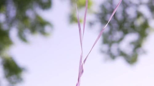 Inflatable Balls in the Wind