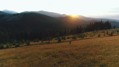 a Guy Walks in a Valley of Mountains Aerial View