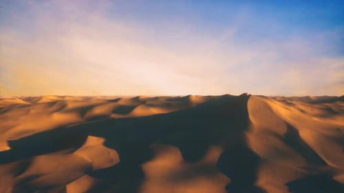 Endless Flight in the Endless Hot Desert