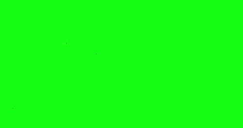Pre keyed Pack of 7 Flock of crows isolated on green screen chroma key background
