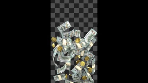 Dollar Cash Flow On Alpha