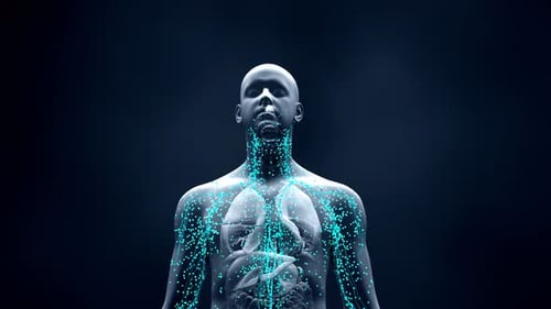 Immune system defends the body against infections and diseases