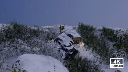 Beautiful Snow Falling Outdoor V12