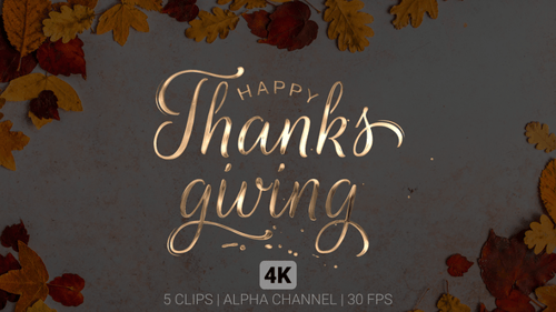 Happy Thanksgiving Text Animation