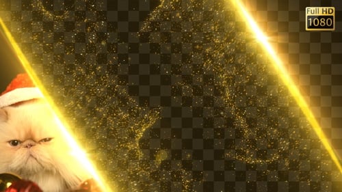 Christmas Sparkling Transitions