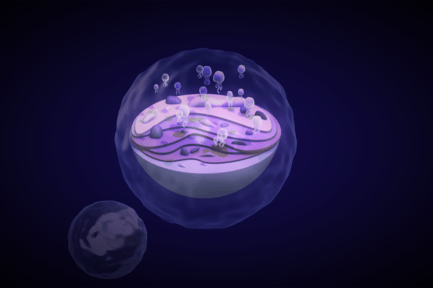 Visualização: Oceano dentro do oceano