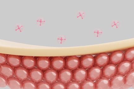 Visualização: Células da pele e estrutura molecular Ícone 3D