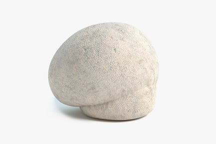 Preview: Giant Puffball Mushroom