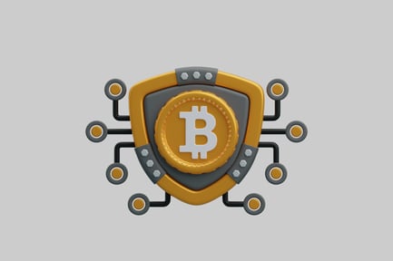 Preview: Bitcoin shield network