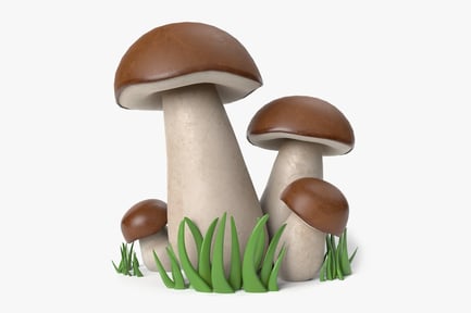 Preview: Stylized Porcini Mushrooms in Patch