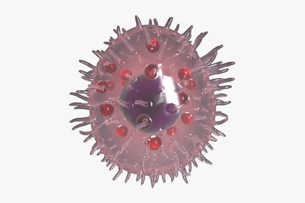 Visualização: Anatomia detalhada dos mastócitos