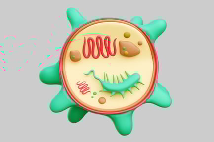 Visualização: Explore The Microscopic World Of Bacteria Cell